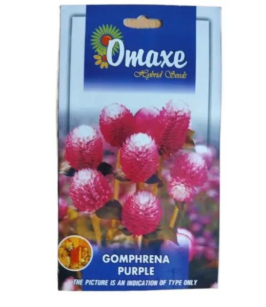 Omaxe Gomphrena Purple Flower Seed- 50 Seeds